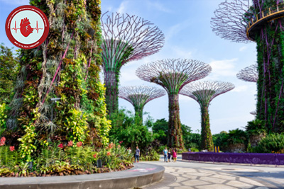 International-Conference-on-Cardiology-and-Cardiovascular-Medicine